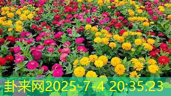 院子里种这花，小心运势塌！哪类花卉风水藏隐患