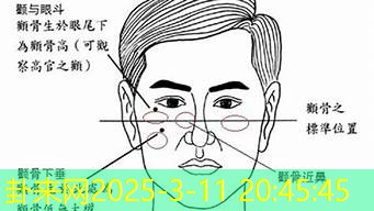 面相中的颧骨高耸，在人际关系与事业晋升上的好坏如何？​