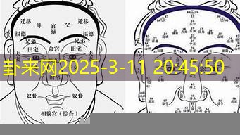 鼻子准头圆润，在财运和福气方面的好坏呈现是怎样的？​