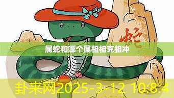 独特视角解读龙蛇属相配对的潜在性格冲突与和谐点​