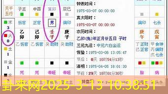 蛇年出生者八字五行缺金 职场晋升暗藏何种玄机​
