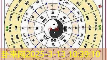 深入剖析蛇年 八字缺金之人事业转型的最佳时机​