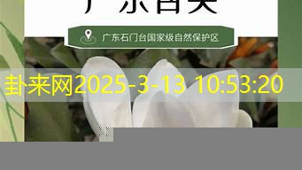 以珍稀植物命名寓意孩子独一无二​
