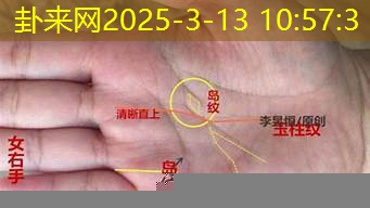 手相中的智慧线分叉预示思维变革走向​