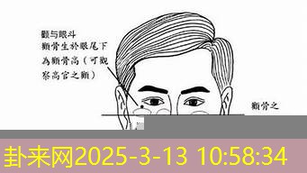 面相颧骨高低与社交领导力的关系​