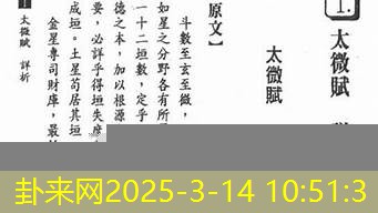 紫微斗数详析 未来十年你的人生重要节点​