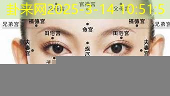面相学入门 从五官窥探事业的起伏脉络​