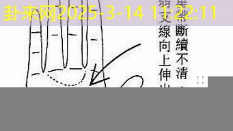 神秘金星带手纹，怎样影响你的情感抉择​