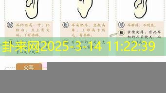 从招风耳面相，分析你的人际关系