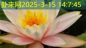 爱情观超正的四个生肖，2025 年爱情之路顺畅吗