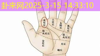 掌丘饱满在手相学中代表什么