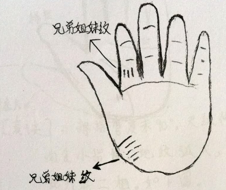 手相手掌纹看兄弟几个，排行老几秘法